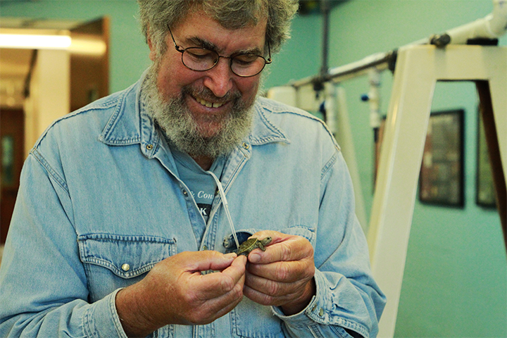 John "Crawfish" Crawford holds a small baby turtle in his hands.