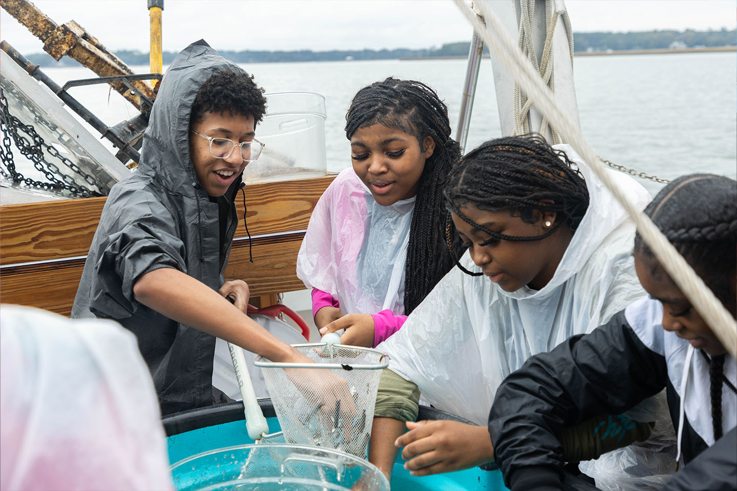 students touch fish in a net on board the UGA research vessel
