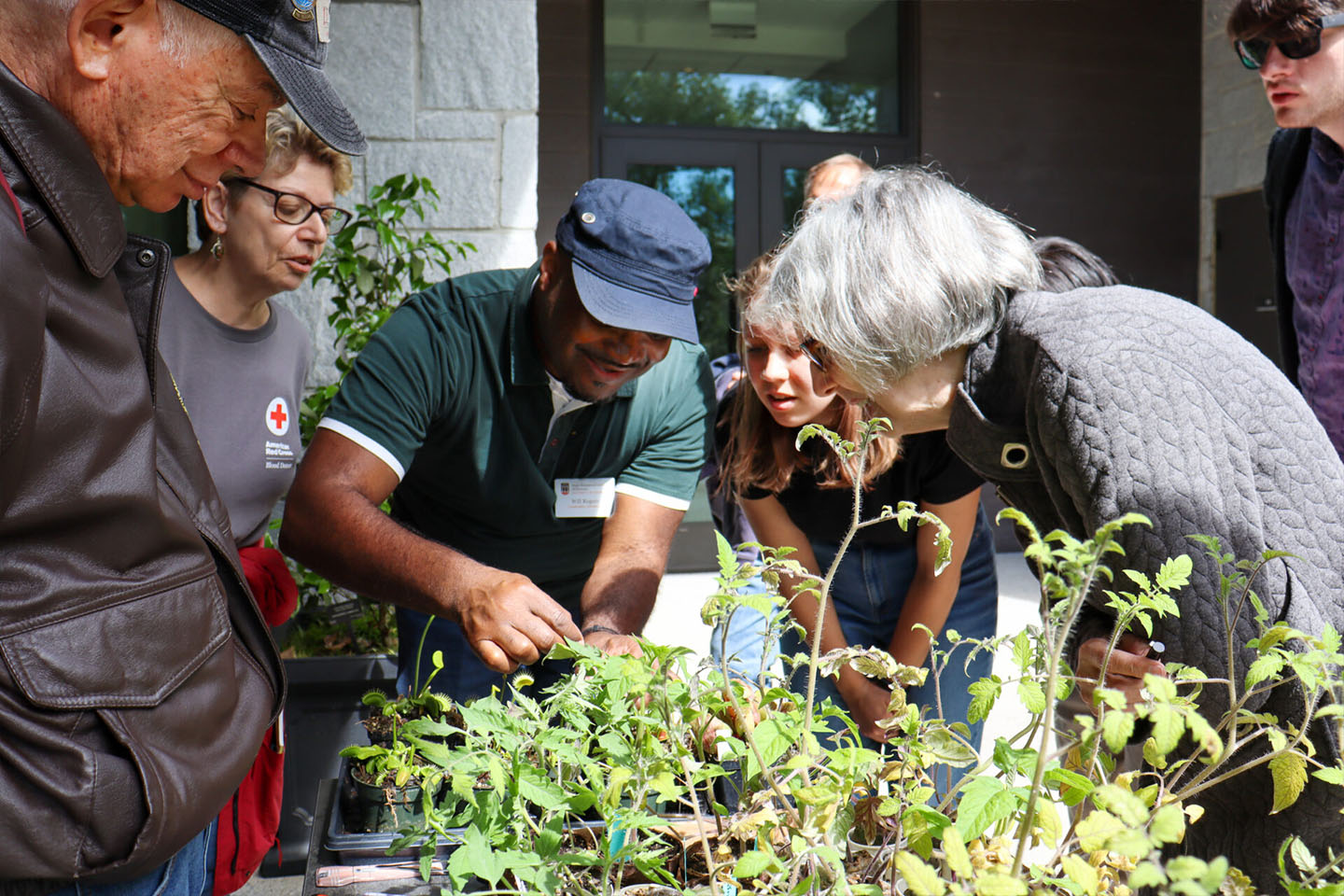 people observing a plant closely