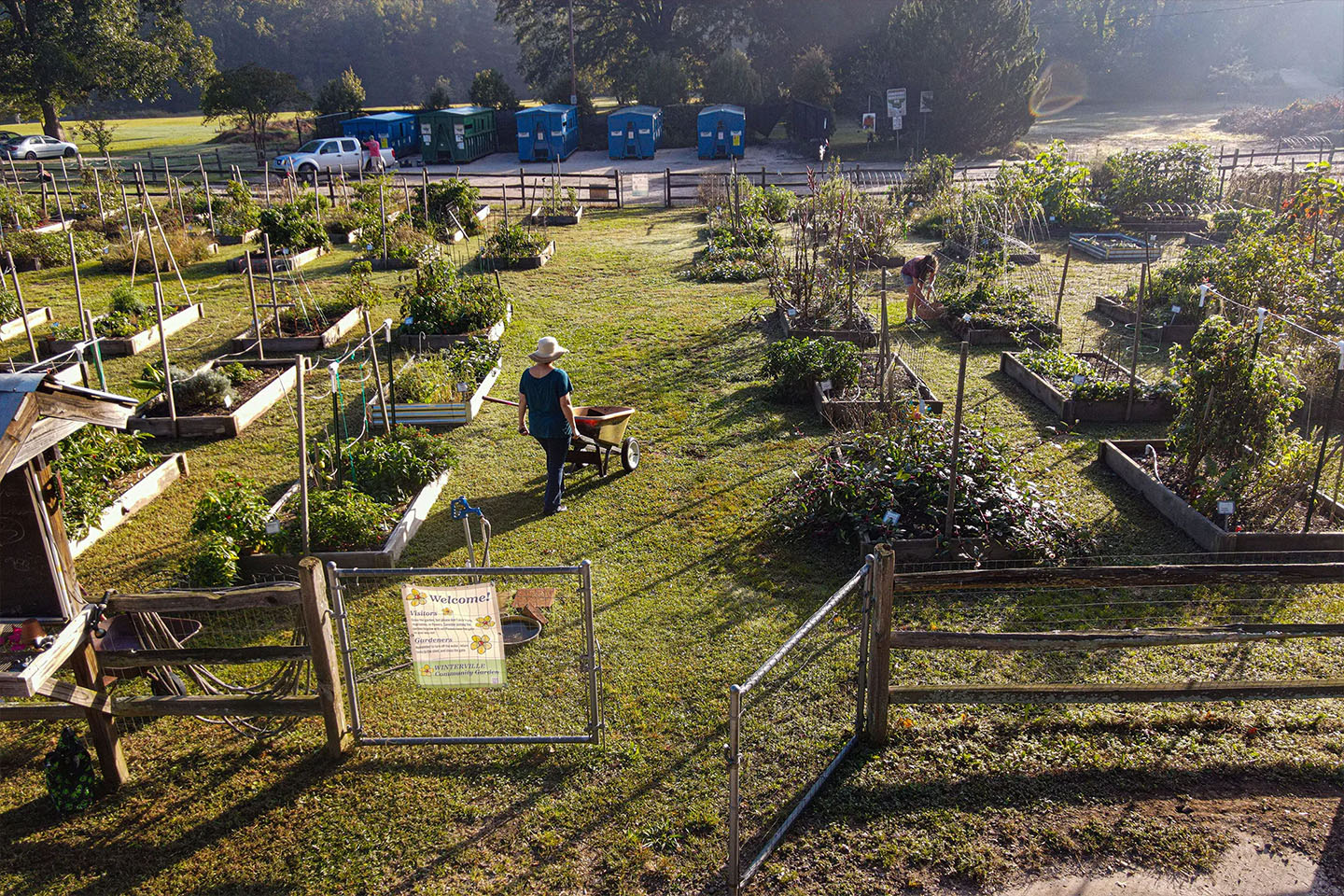 community garden from above